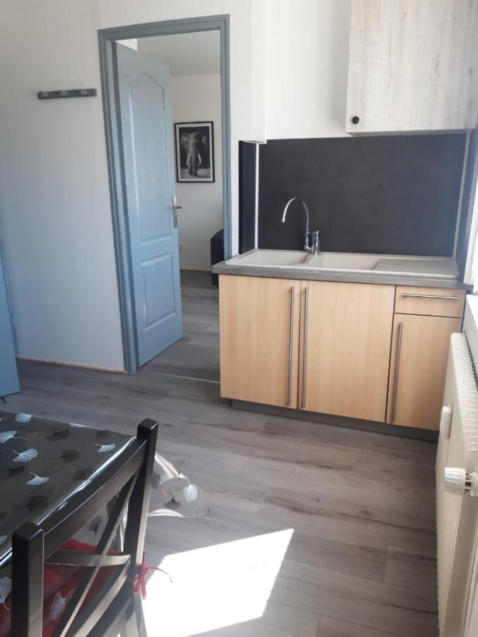 Gambetta Insolite Apartment Chambery Exterior photo