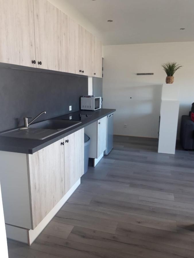 Gambetta Insolite Apartment Chambery Exterior photo