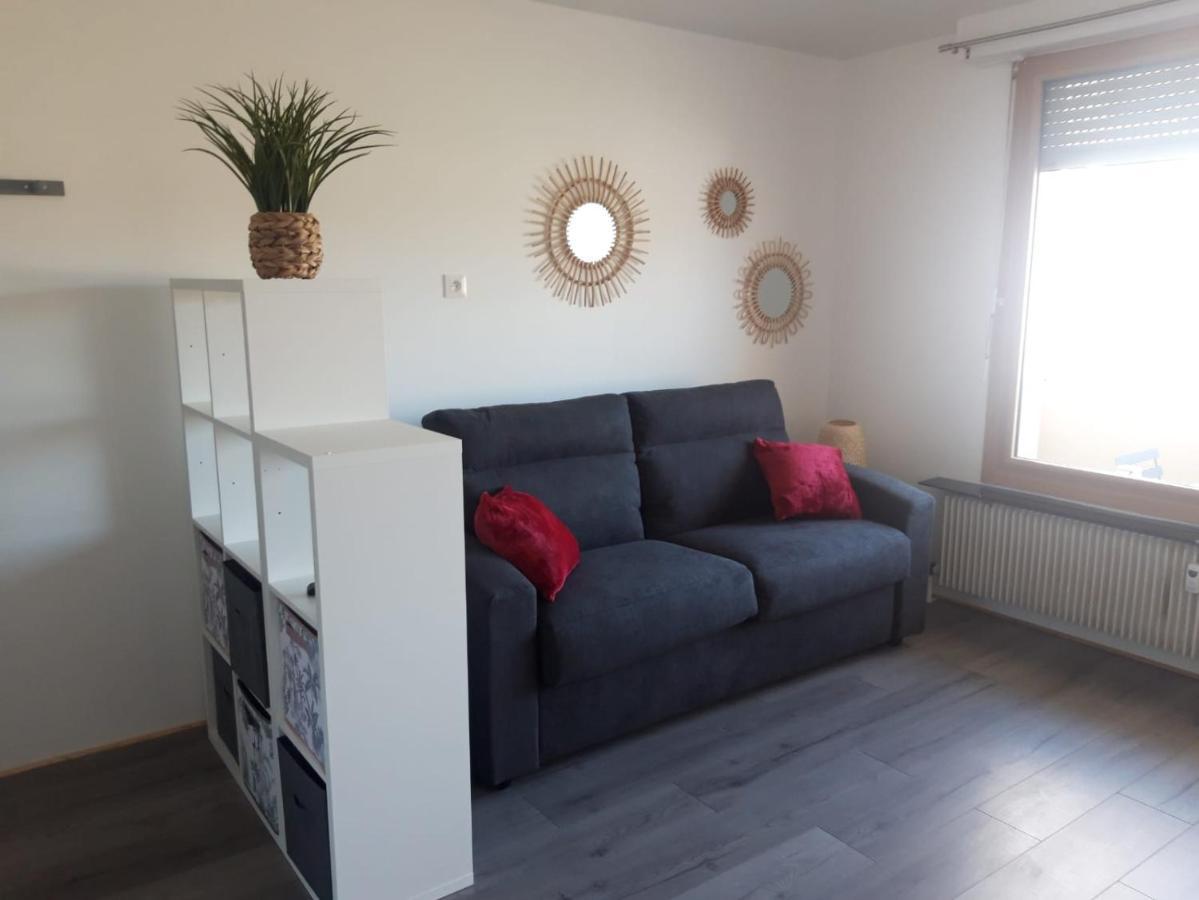 Gambetta Insolite Apartment Chambery Exterior photo